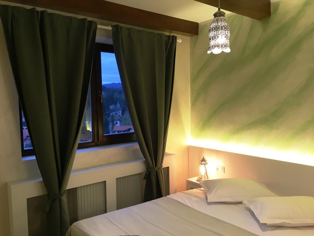 Sinaia View公寓 外观 照片