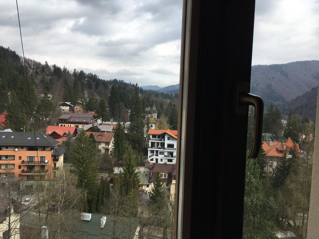 Sinaia View公寓 外观 照片