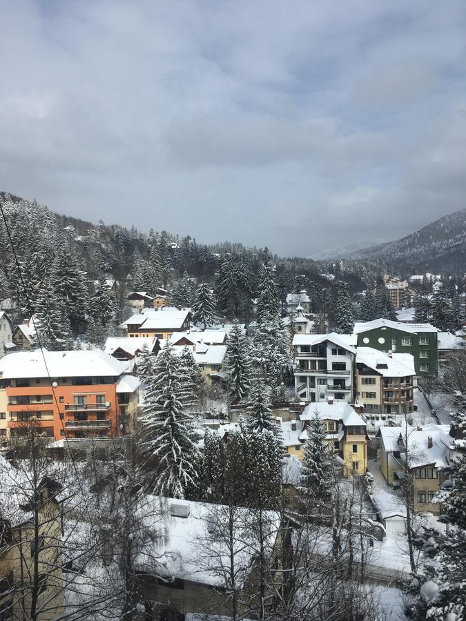 Sinaia View公寓 外观 照片